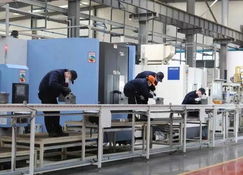 兩大引擎驅動奎文發展 互聯網銷售的戰略定位與未來路徑